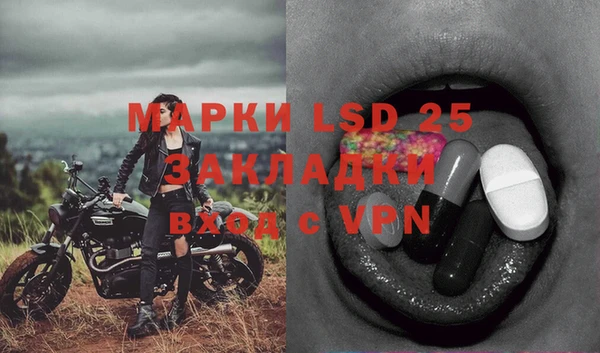ПСИЛОЦИБИНОВЫЕ ГРИБЫ Бронницы