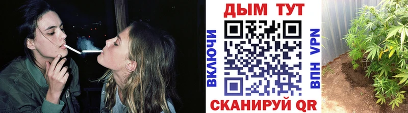 Бошки марихуана семена  darknet как зайти  Палласовка 